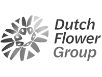 Dutch Flower Group