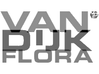 Van Dijk Flora