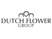 Dutch Flower Group